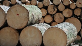 wood_sawmill.jpg