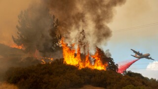 mendocino-fire-pa-37811792.jpg