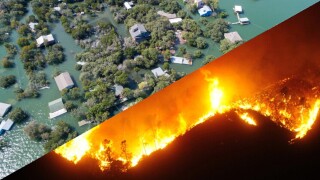 Flood and wildfire split.jpg