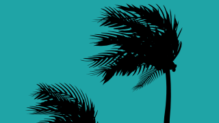 hurricane us b.png