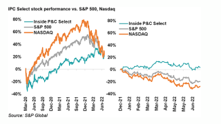 IPPC Select Lead.png