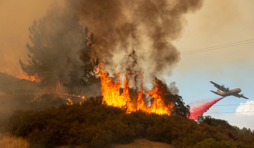mendocino-fire-pa-37811792.jpg
