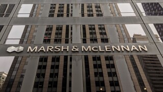 marsh-3.jpg