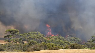 KANGAROO ISLAND BUSHFIRES