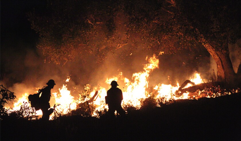 forestfires-istock-894667710-web.jpg