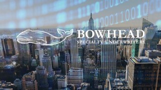 bowhead specialty logo new york cyber.jpg