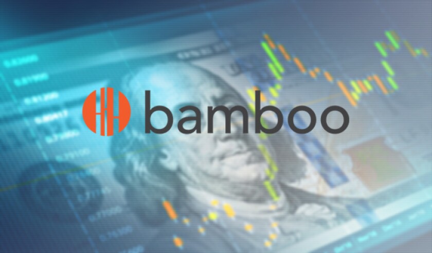 Bamboo logo fundraise.jpg
