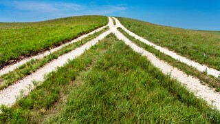 Merger in the grass M&A.jpg