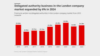 delegated authority business ID lead may 8 2025.png