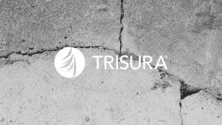 trisura cracks.png
