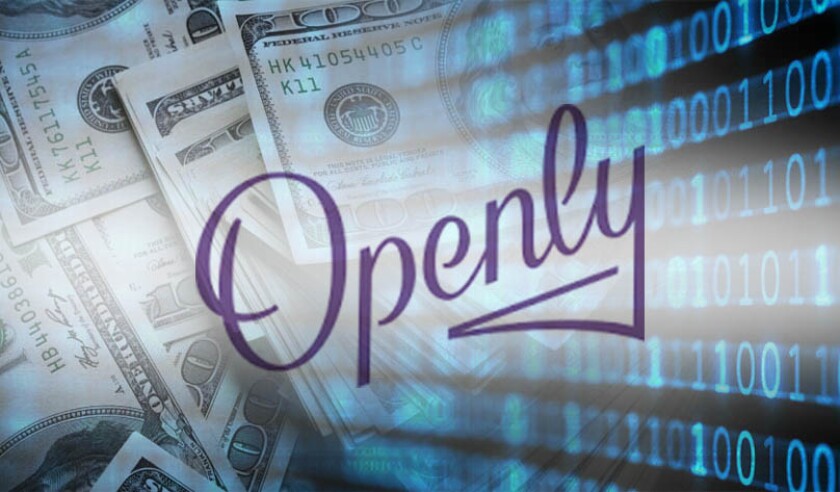 openly.jpg