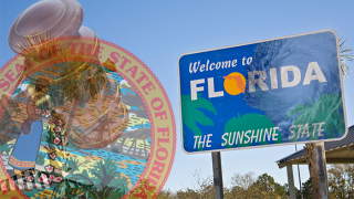 Florida - Lead.png