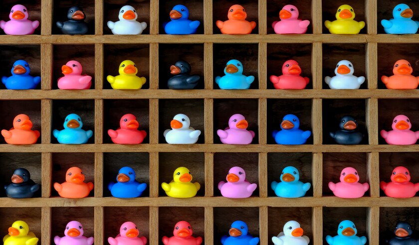 Diversification Specialty Lines Segments Micro Niche Diversity DUAEs.jpg