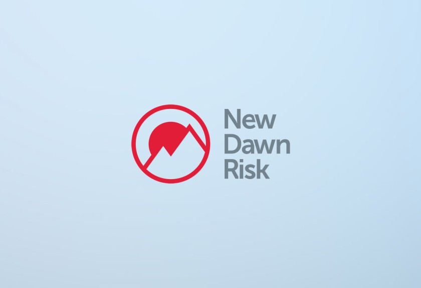 new dawn risk logo 2025.png