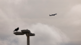 american airlines plane flight aerospace airplane.png