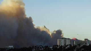 pacific palisades fire california january 2025.png