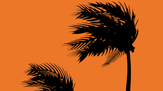 hurricane ils b.png