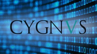 cygnvsjpg.jpg