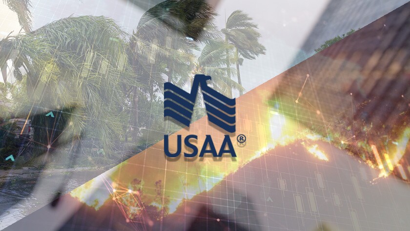USAA cat split screen.jpg