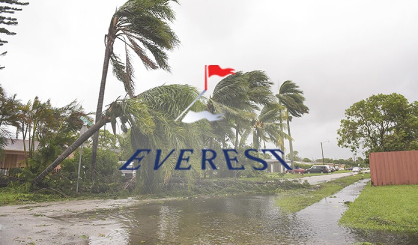 Everest logo palm trees flooding storm damage.jpg