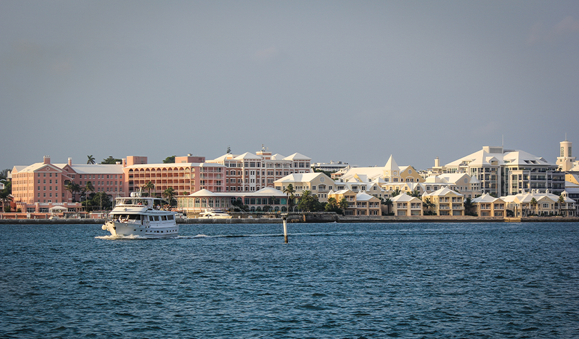 hamilton bermuda.png