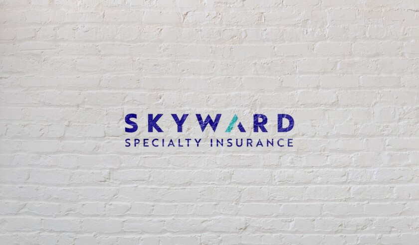 skyward specialty brick.jpg