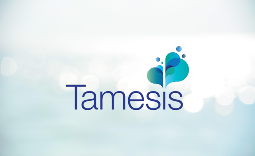Tamesis-Dual-2025.png