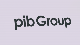 PIB GROUP LOGO.png