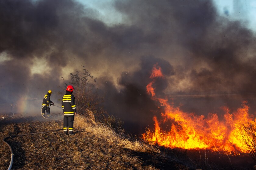 Firefighters spray water to wildfire