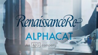 renre alphacat.jpg