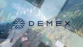 Demex group logo modelling.jpg