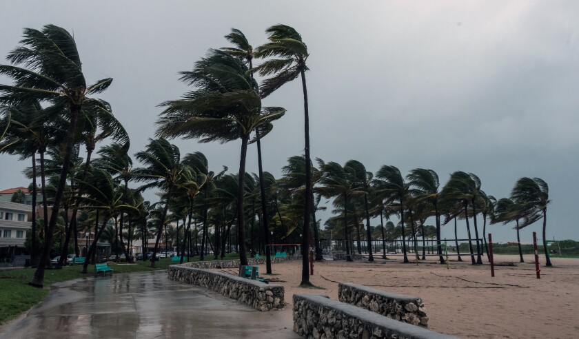 Hurricane Winds Florida Beach.jpg