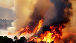 wildfire.png