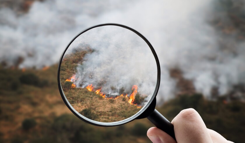 Fire Investigation Wildfire Aftermath.jpg