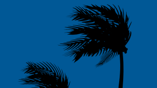hurricane ils.png