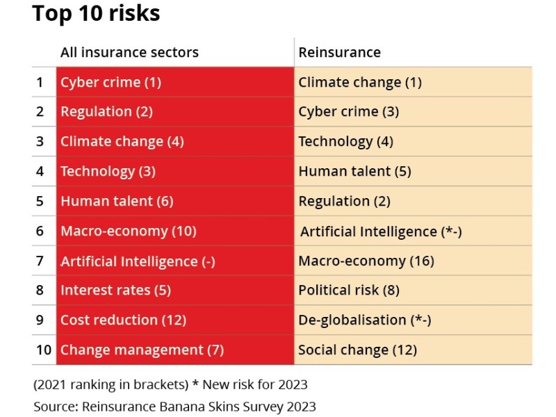 Top 10 risks.jpg