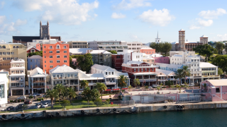 hamilton bermuda.png