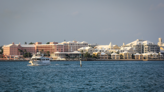hamilton bermuda.png