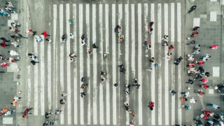 Pedestrians on zebra crossing, New York City