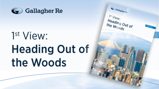 Gallagher-Re-heading-out-of-the-woods-report.png