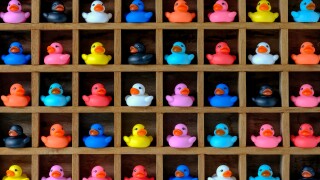 Diversification Specialty Lines Segments Micro Niche Diversity DUAEs.jpg