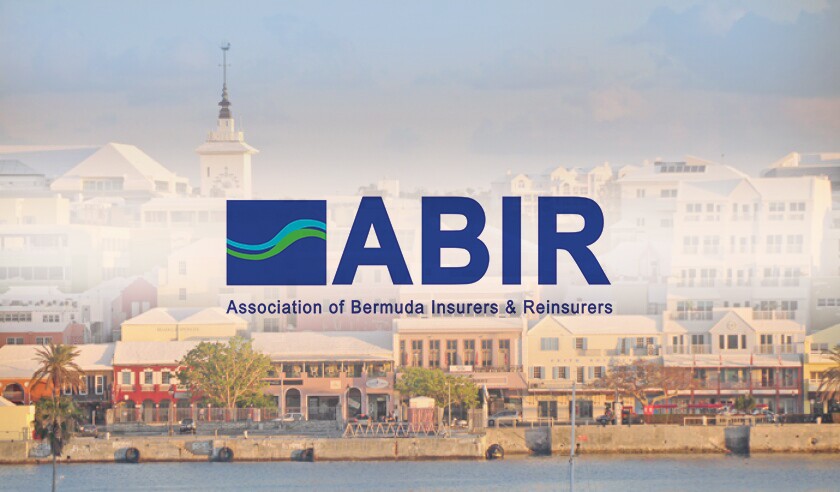 abir bermuda.jpg