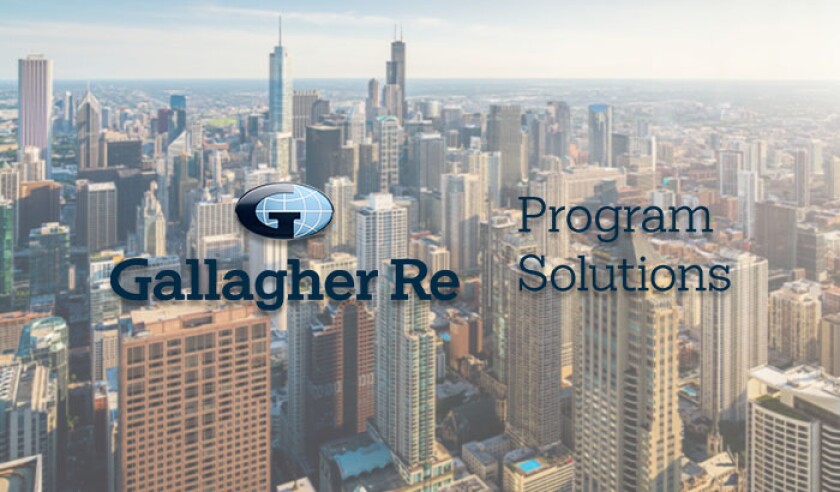 gallagher re program solutions logo chicago.jpg