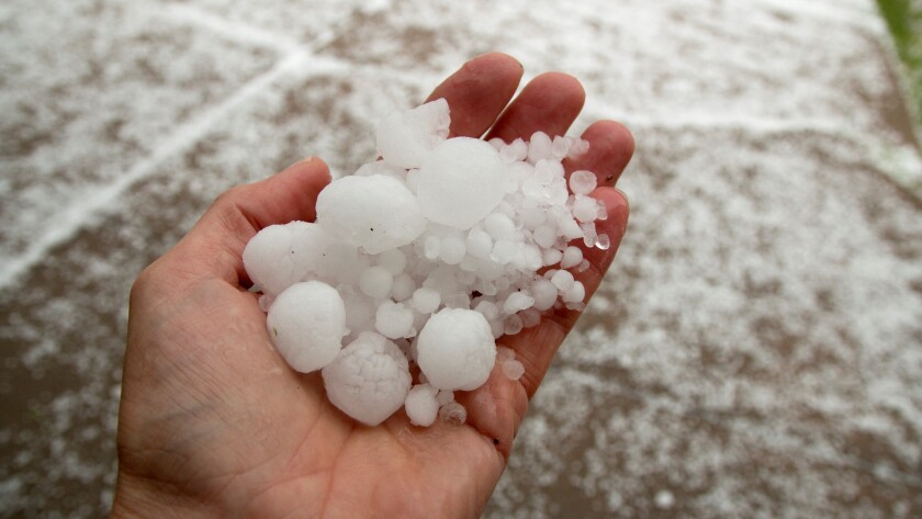 Hand holding quarter sized hail stones Denver Colorado