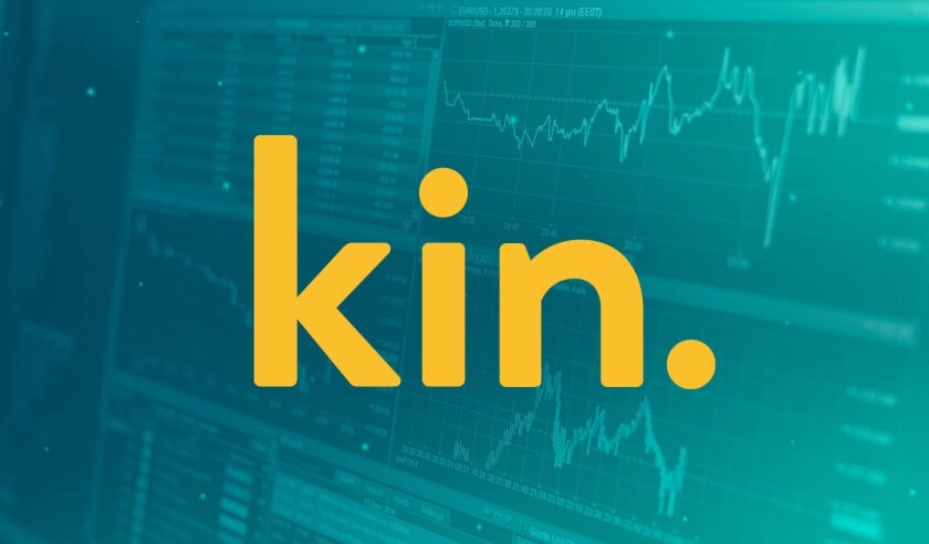 Kin.jpg