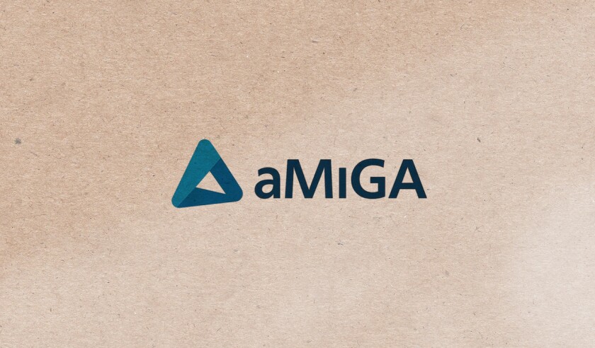 amiga.jpg