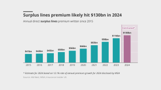 surplus lines premium IPCD lead image DataW feb 28 2025 v2.png
