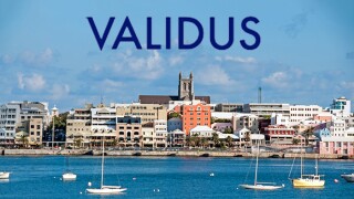 Validus logo bermuda.jpg