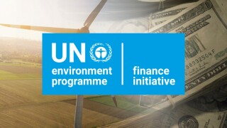 nzia un finance green.jpg
