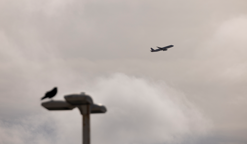 american airlines plane flight aerospace airplane.png